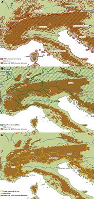 Coverage of In Situ Climatological Observations in the World's Mountains
